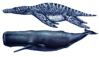 liopleurodon3.jpg
