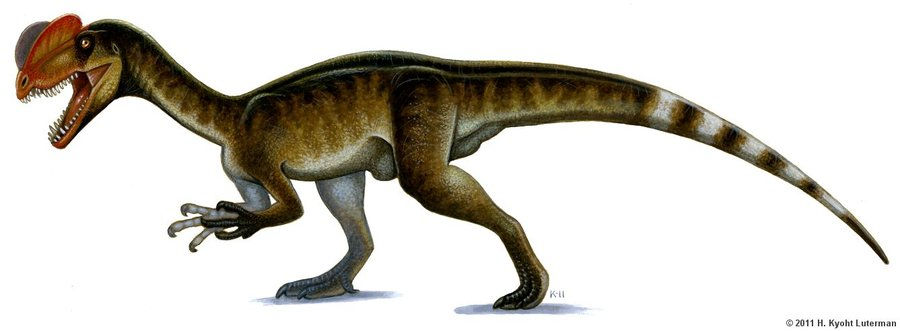 Dilophosaurus.jpg