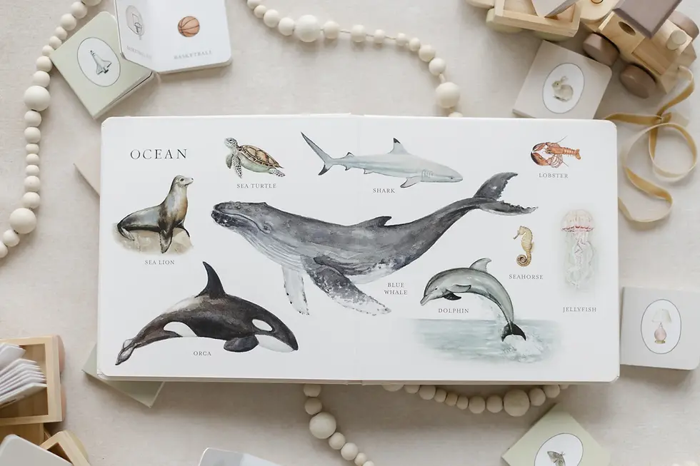 Thumbnail: Our Big Book of Animals