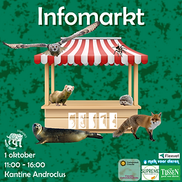 2025-10-01 Infomarkt save the date_Tekengebied 1.png