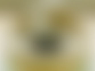 Die energetische Reinigung