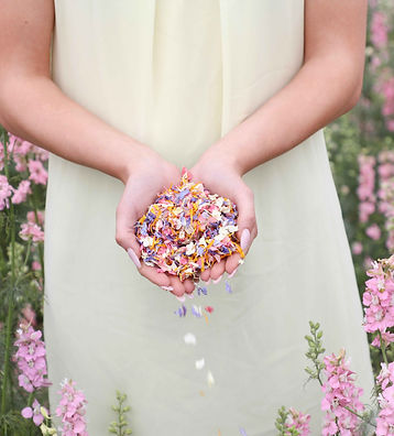 Shropshire Petals - Handful of Tutti Fruity Biodegradable Confetti.jpg