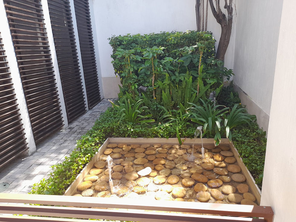 WhatsApp Image 2024-09-12 at 19.47.18 (3)