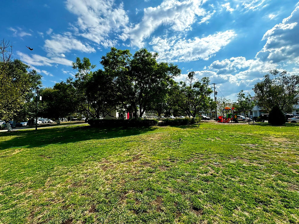 WhatsApp Image 2024-06-16 at 16.06.16 (1)