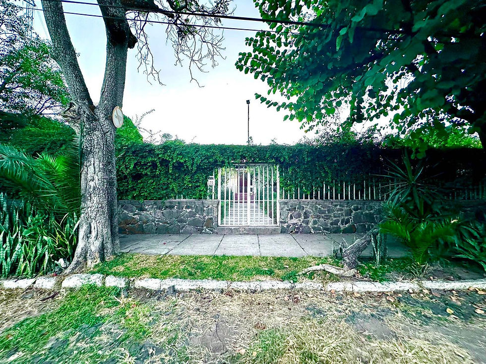 WhatsApp Image 2023-11-30 at 15.42.51