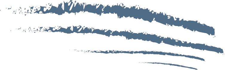 Stylized brushstroke marks used as a visual accent throughout Foxhills Body Shop branding, echoing motion and precision in car repair work.