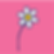 PINK FAVICONAsset 3.png