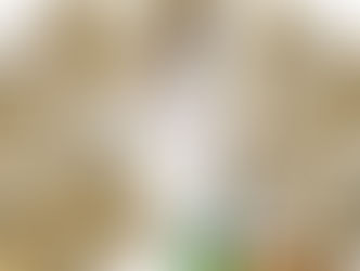 Just released some great factory backscenes in OO Gauge.