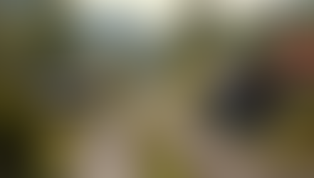 Exploring the World of 3dk Toy Features