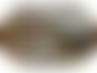 ✨ Disaster at Denton✨