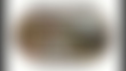 ✨ Disaster at Denton✨