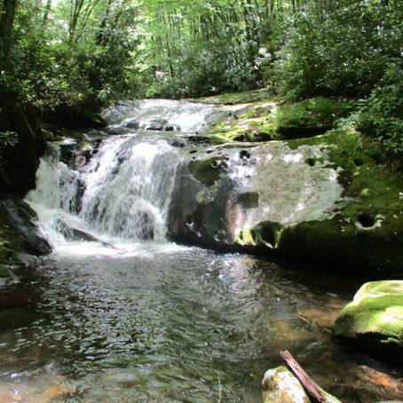 May and June Bucket List Creeks!
