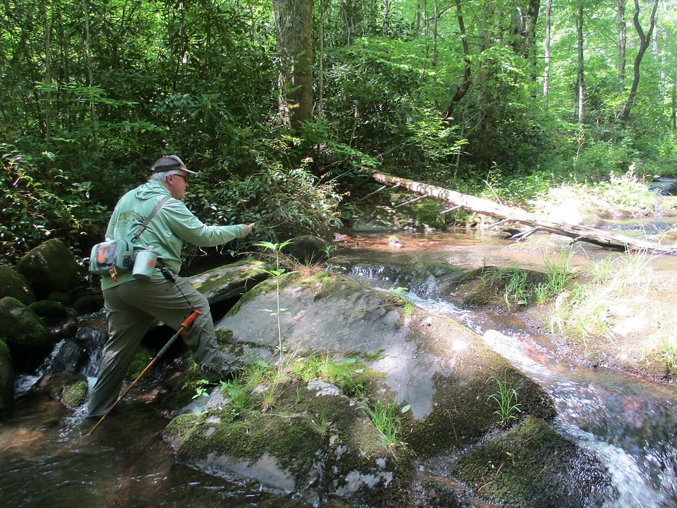 Bill Carney at Little Laurel Creek