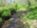 Cheek Branch - new creek number 1126