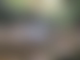 Summer and Fall Fishing Trips