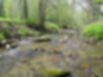 Middle Prong Roaring River - bucket list and new creek number 1122
