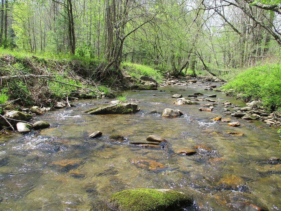 Middle Prong Roaring River - bucket list and new creek number 1122