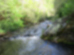 Alarka Creek - just up the road from our cabins
