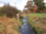 dry fly fishing Shawneehaw Creek