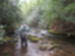 Bill Carney at Panther Creek