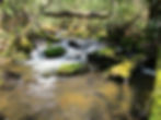 Mill Creek, new creek number 1119