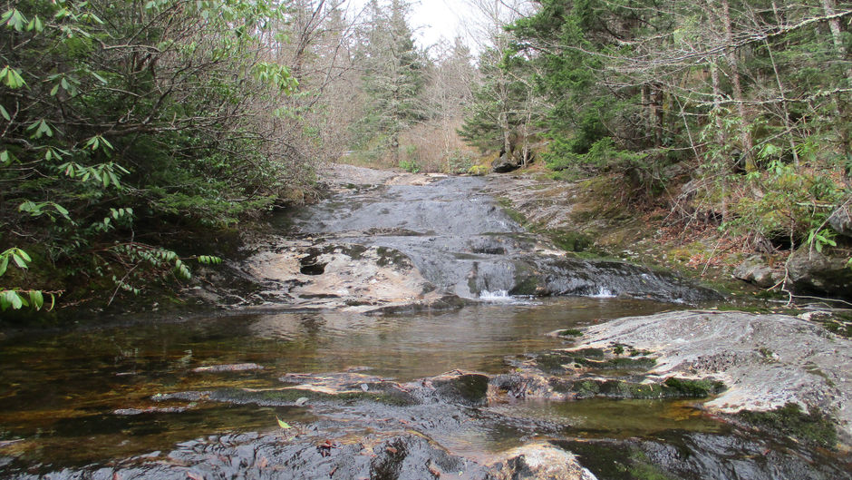blue line fishing for trout in WNC