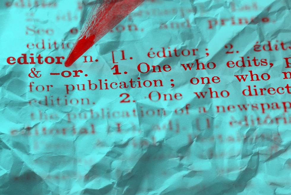 Public Statement from Journalist Audrey Korte: AI-Incident at the Wisconsin State Journal