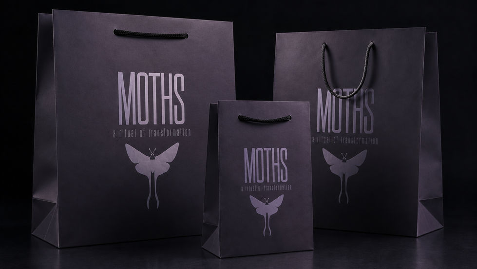 Moths Portfolio conflict12