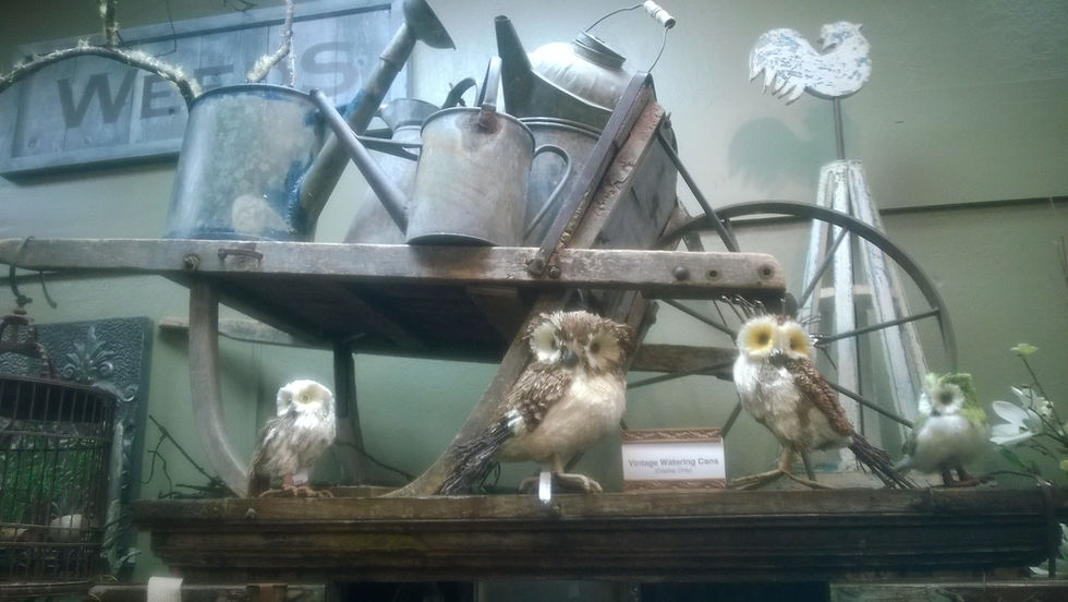 Perfect Season Antique Display