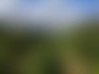 Antica Masseria Venditti, tradizione e qualità made in Italy