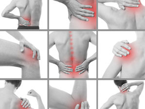 Common painful areas physical therapist work on with massage. 