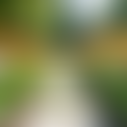 Choosing the Right Gardening Service for Your Needs