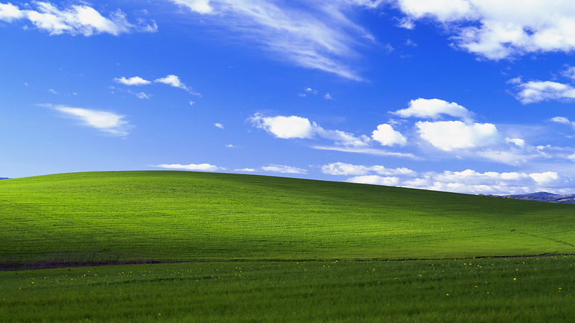 windowsxpfield.jpg