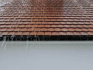 Gutter Clean Out Ipswich