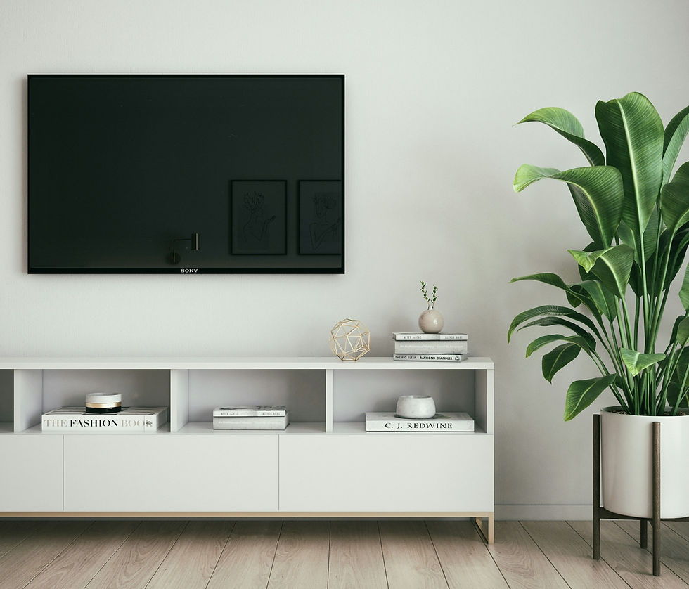 Wall-mounted TV above white media unit with houseplant