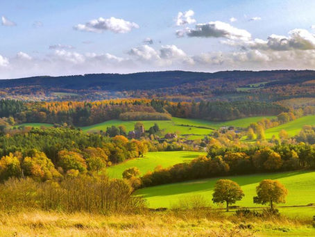 Discover Unforgettable Mature Companionship in Surrey