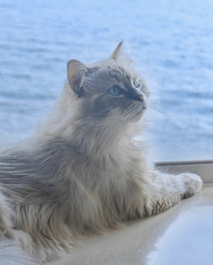 活著的意義:為什麼人要活著?人生有沒有意義?