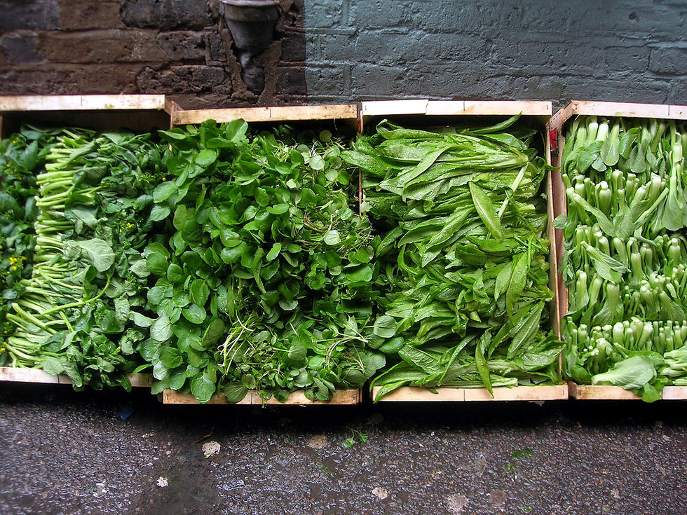 Buddha Bowls, salad greens, salad base