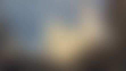 Můj deník z Rakouska III: Mezi přednáškami, motýly a novými přáteli