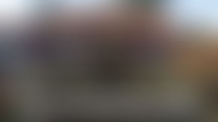 Můj deník z Rakouska VI: Když už němčina není cizí