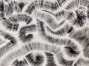 Experimentální doodling — objevujte nové způsoby meditativní kresby jako cesty k novým vizuálním metaforám