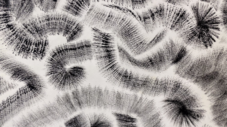 Experimentální doodling — objevujte nové způsoby meditativní kresby jako cesty k novým vizuálním metaforám