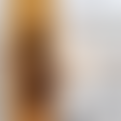 „Akademickou kariéru může u nás dělat snad už jen ten, kdo vlastní byt zdědil“