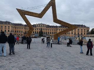 Můj deník z Rakouska V: Mezi pandami, parlamentem a malými rozhovory