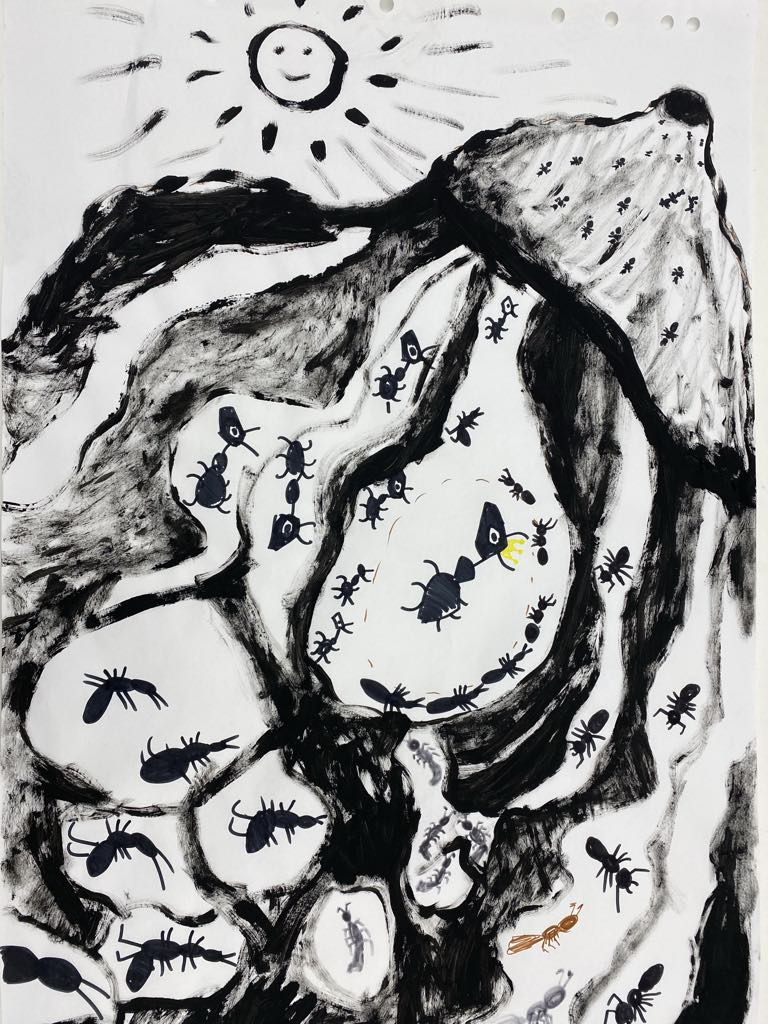 Mraveniště | Kooperativní výtvarná hra pro skupinu