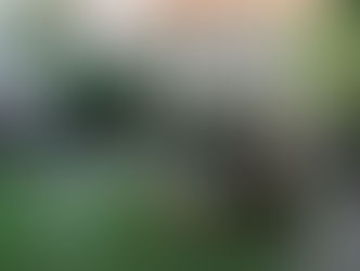 Děkan pedagogické fakulty znovu ocení nejlepší vyučující. Nominujte své favority!