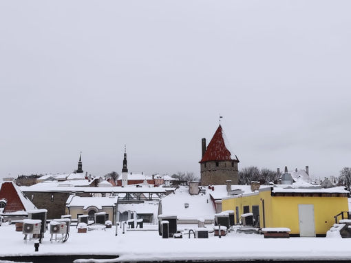 Estonsko – země brambor, ateistů, Rusů a nádherné přírody