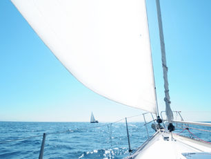 LMYCからのお知らせ