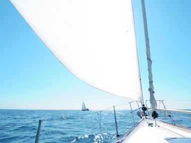 Yachting NZ write-up