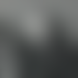 Teve 3 filhos : Erna Maria , Alcindo e Ida Maria.